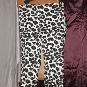 SOHO Apparel LTD Ladies Pants